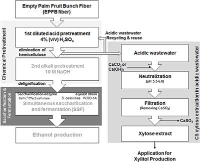 Xylitol Production From Byproducts Generated During Sequential Acid-/Alkali-Pretreatment of Empty Palm Fruit Bunch Fiber by an Adapted Candida tropicalis